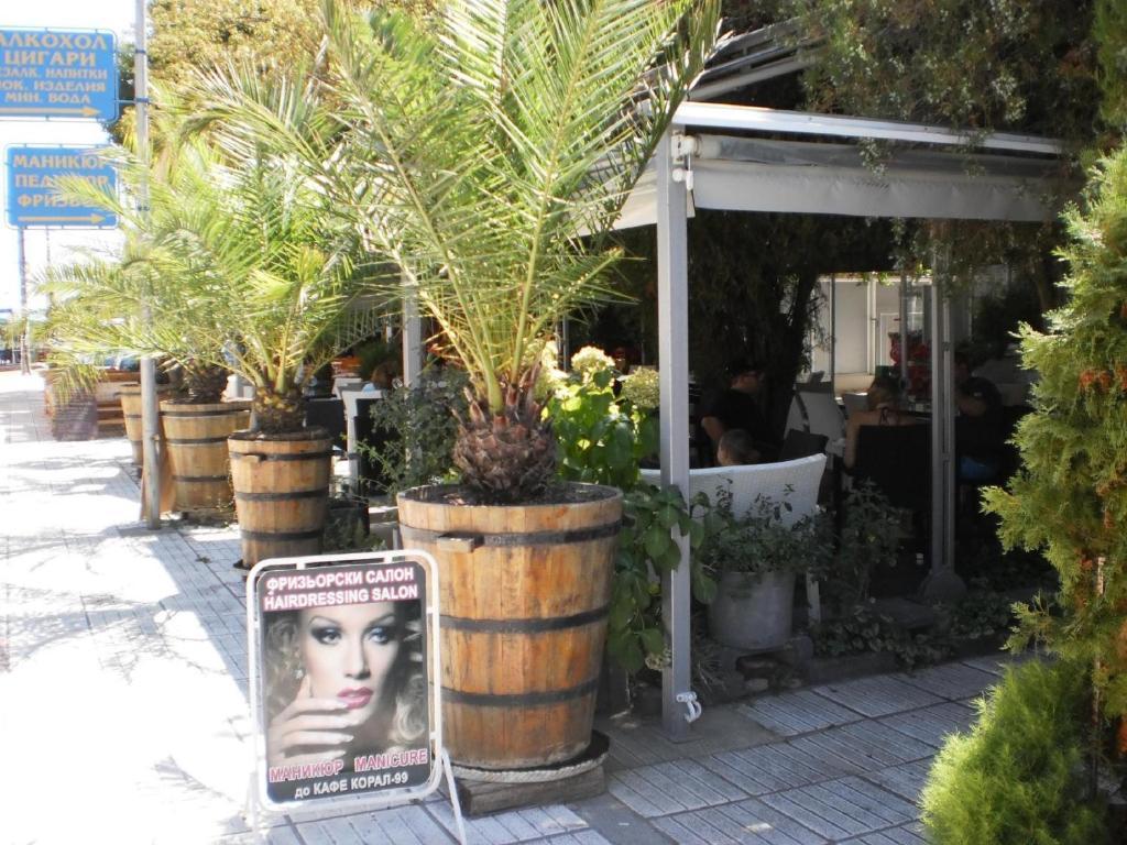 Fresh Kiten Kiten  Exterior photo